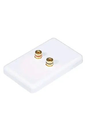 Disponible | Plaque Murale Plastique pour Borniers simples Haut Parleur