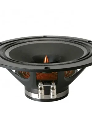 DAYTON AUDIO PS220-8 Haut-Parleur Large Bande Papier 40W 8 Ohm 96dB 40Hz - 25kHz Ø22cm - Qualité supérieure