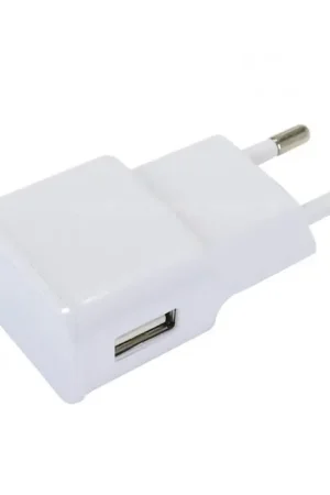 Plébiscité par les clients - Adaptateur Secteur USB Alimentation 100-240V AC vers 5V 2A DC
