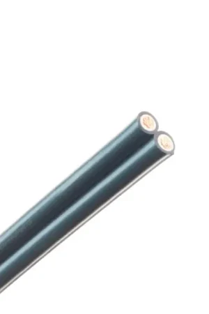 Meilleure vente - NEOTECH NES-5005 Câble Haut-Parleur Cuivre UP-OFC 2x2.5mm²
