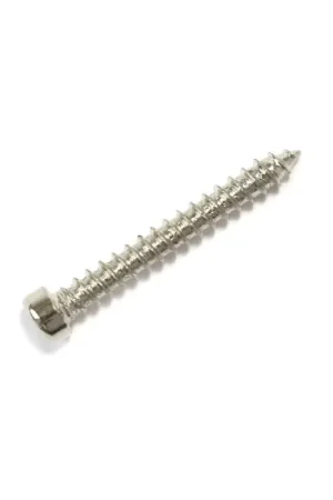 Vis à Bois à Tête Cylindrique à Six Pans Creux CHC M4x16mm Argent (x10) - Offre limitée