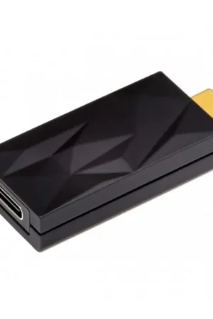 IFI AUDIO ISILENCER+ Suppresseur de Bruit EMI RFI USB-C Mâle vers USB-C Femelle - Coup de cœur