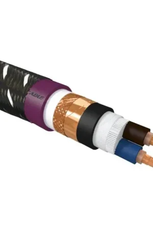 FURUTECH DSS 4.1 Câble Haut-Parleur Cuivre OCC DUCC Traitement Alpa 4.08mm² Ø19mm | Bon plan