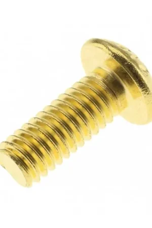 Prix exceptionnel | Vis SHCS Tête Ronde Acier BTR M4x10mm Or (x10)