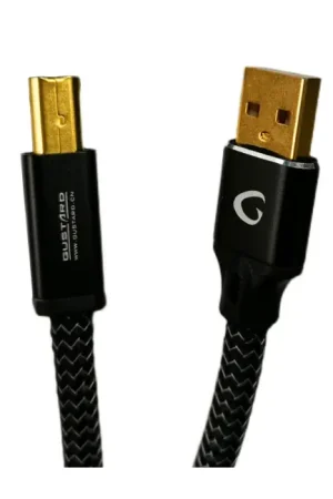 GUSTARD Câble USB-A Mâle vers USB-B Mâle Cuivre OFC Plaqué Argent 1m | Plus que quelques jours