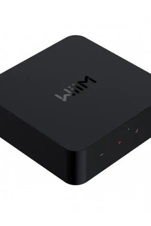 Quantité limitée | WIIM PRO Lecteur Réseau Audio Bit-Perfect WiFi AirPlay 2 DLNA Chromecast Multiroom Bluetooth 5.1 24bit 192kHz