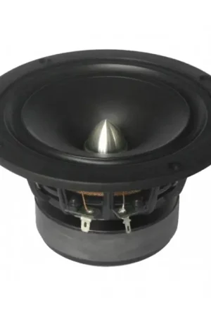Disponible | TANG BAND W5-1611SAF Haut-Parleur Large Bande 28W 8 Ohm 90dB 60Hz-20kHz Ø12.7cm