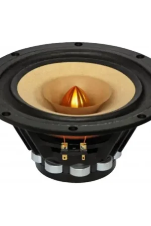TANG BAND W8-1772 Haut-Parleur Large Bande 30W 8Ω 95dB Ø22.38cm - Offre spéciale