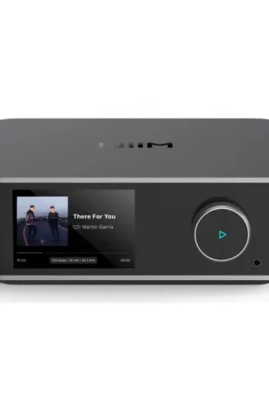 Très bien noté | WIIM ULTRA Lecteur Réseau audio Gris
