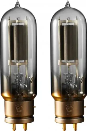 Prix imbattable - PSVANE WE211 LEGEND SERIES Tubes de Puissance Triode (Paire Appairée)