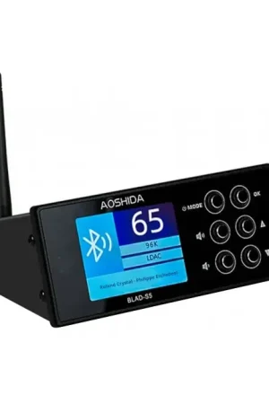 AOSHIDA BLAD-S5 Récepteur Bluetooth / Radio FM / DAC - Prix avantageux