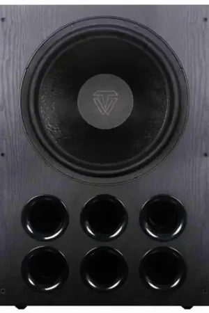 TONEWINNER SW-D9000 Caisson de Basses Subwoofer Actif - Prix réduit