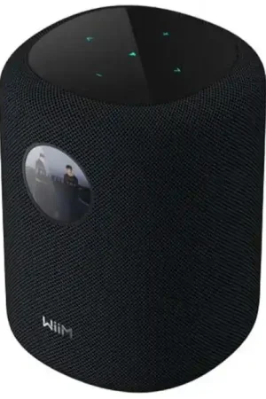 WIIM SOUND DISPLAY Enceinte Connectée avec Écran Noir (Unité) | Plus que quelques unités