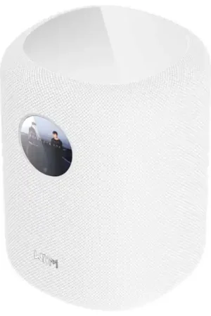 Commandez dès maintenant | WIIM SOUND DISPLAY Enceinte Connectée avec Écran Blanc (Unité)