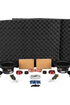 DAYTON AUDIO BR-1 Kit DIY Enceintes Bibliothèques 2 Voies | Premium