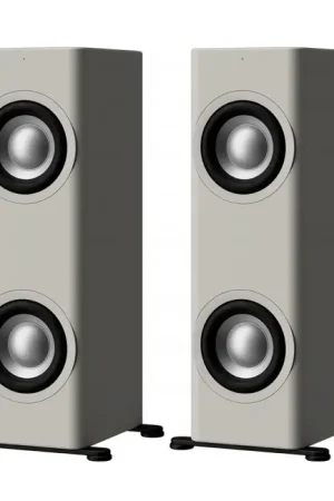 Achat sécurisé | ASCILAB BX8C Subwoofer Actif Gris (La paire)