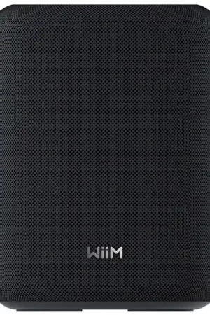 WIIM SOUND LITE Enceinte Connectée Noir (Unité) - Haute qualité