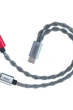 IBASSO CB19C Câble 1x USB-C vers 2x USB-C Données / Alimentation 22.5cm | Tout nouveau