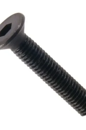 Vis TFHC Tête Fraisée Acier 10.9 BTR M2x10mm Noir (x10) - Haute qualité