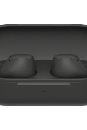Sony WF-C510 Noir - Écouteurs sans fil - Profitez-en maintenant