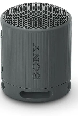 Expédition immédiate | Sony SRS-XB100 Noir - Enceinte portable