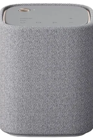 Expédition rapide | Yamaha WS-X1A Gris - Enceinte portable