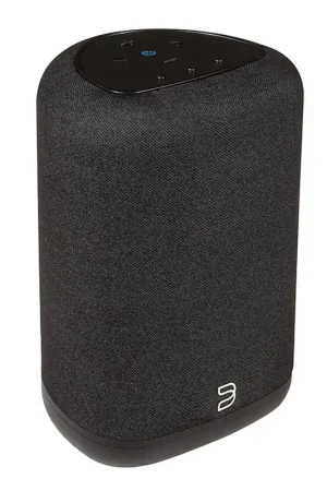 Dépêchez-vous | Bluesound PULSE Flex (2025) - Noir - Enceinte compacte