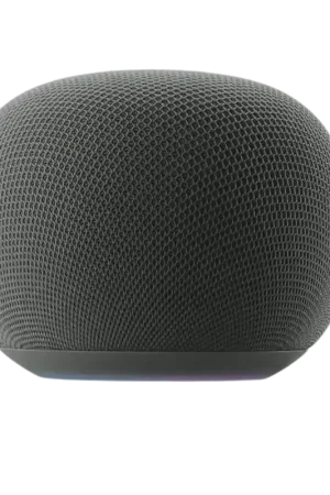 Bien noté | Enceinte connectée Google Home avec Google Assistant－Gris