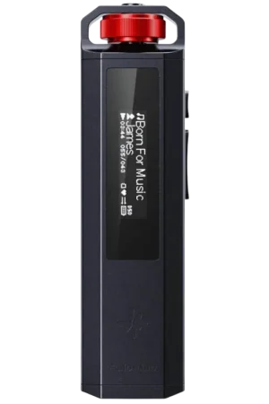 FiiO Snowsky ECHO NANO Lecteur Hi-Res PCM 24 bits/192 kHz Noir - Affaire à saisir