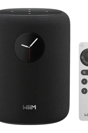 Enceinte intelligente Wiim Sound Alexa, Google Assistant 100W - Disponible