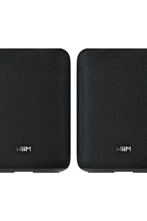 Plébiscité par les clients | Enceinte connectée WiiM Sound Lite Noire Lot de 2