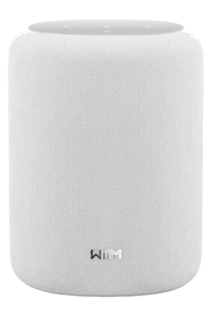 Incontournable | Enceinte connectée WiiM Sound Lite 100W WiFi 6E, AirPlay 2, Chromecast