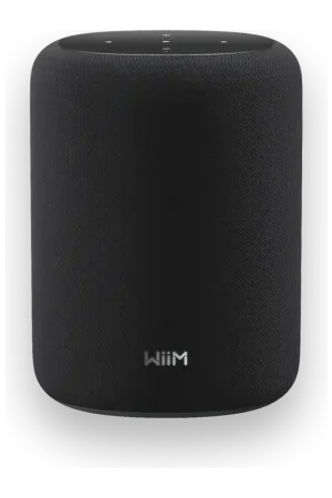 Enceinte intelligente Wiim Sound Lite 100W WiFi 6 Bluetooth 5.3 AirPlay 2 Chromecast - Très demandé