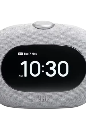 JBL Horizon 3 Radio DAB+/FM Bluetooth 5 W Gris - Prix réduit