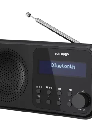Sharp DR-P420 Bluetooth - Radio numérique portable - Prix bas