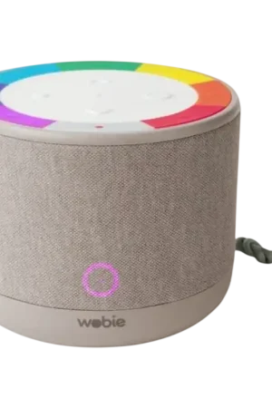 Très demandé - Wobie Box Gris - Haut-parleur portable