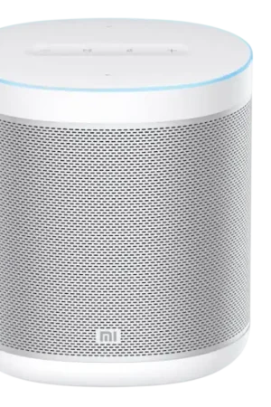 Qualité professionnelle | Xiaomi Mi Smart Speaker Google Assistant - Class B Refurbished