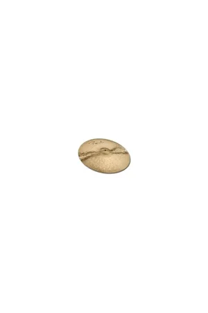 Coup de cœur des clients - Paiste SIGNATURE 18" Dark Energy Crash Mark I