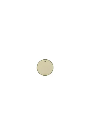 Remo&nbsp;RENAISSANCE Ambassador 15" - Produit phare