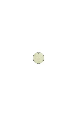 Vente flash - Remo&nbsp;FIBERSKYN 3 Ambassador 11"