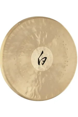 Bien noté | Meinl Sonic Energy WG-145 - Gong blanc 14,5"