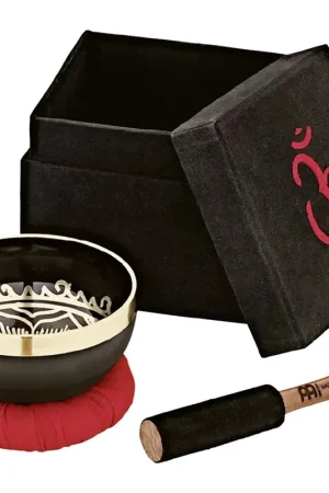 Sonic Energy SBOM300 - Singing Bowl Om 300G - Prix choc