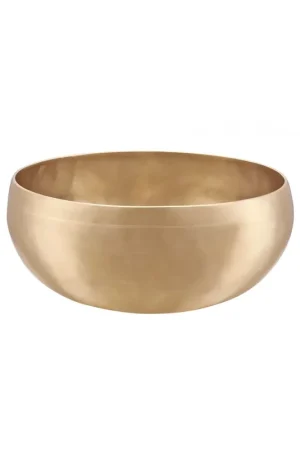 Sonic Energy SBSFOL1000 - Singing Bowl Synthesis 1000 | Prix doux