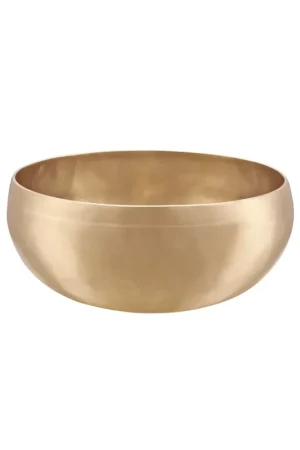 Sonic Energy SBSVF1000 - Singing Bowl Synthesis 1000 - Prix bas