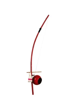 Cette semaine uniquement - Meinl BE1R - Berimbau Fibre de verre