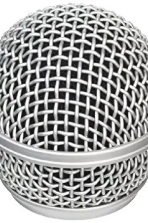 Stagg Grille de rechange SM58 - Affaire à saisir