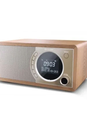 Offre spéciale - Sharp DR-450BR - Marron