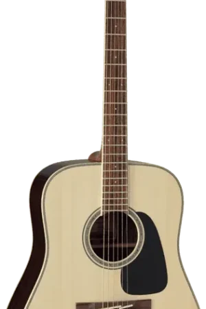 Prix malin - Takamine GD51-NAT Naturel