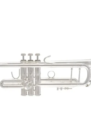 Coup de cœur | Trompette Sib Bach Stradivarius 180S-43G