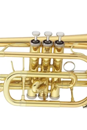 Expédition express - Cornet Jupiter JCR700RQ